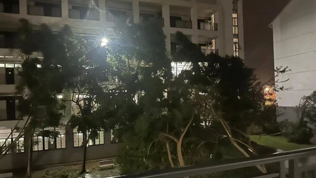 台风“摩羯”在徐闻登陆，湛江救灾应急响应提升至Ⅲ级