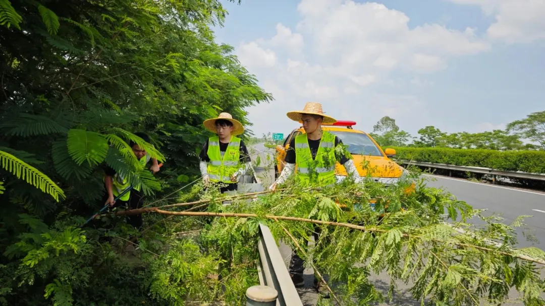先“风”而行！广东交通全力落实台风“摩羯”防御工作