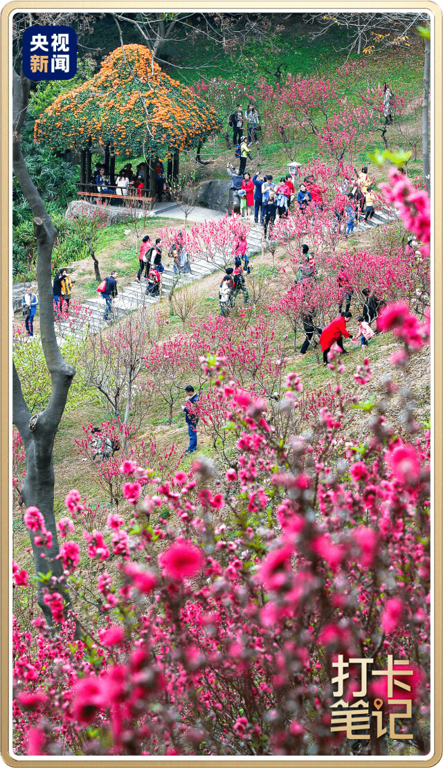 △广州白云山桃花涧