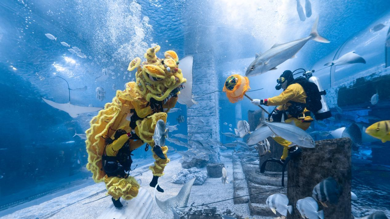 Come to Guangdong for the Chinese New Year: Underwater lion dance performs in Guangzhou