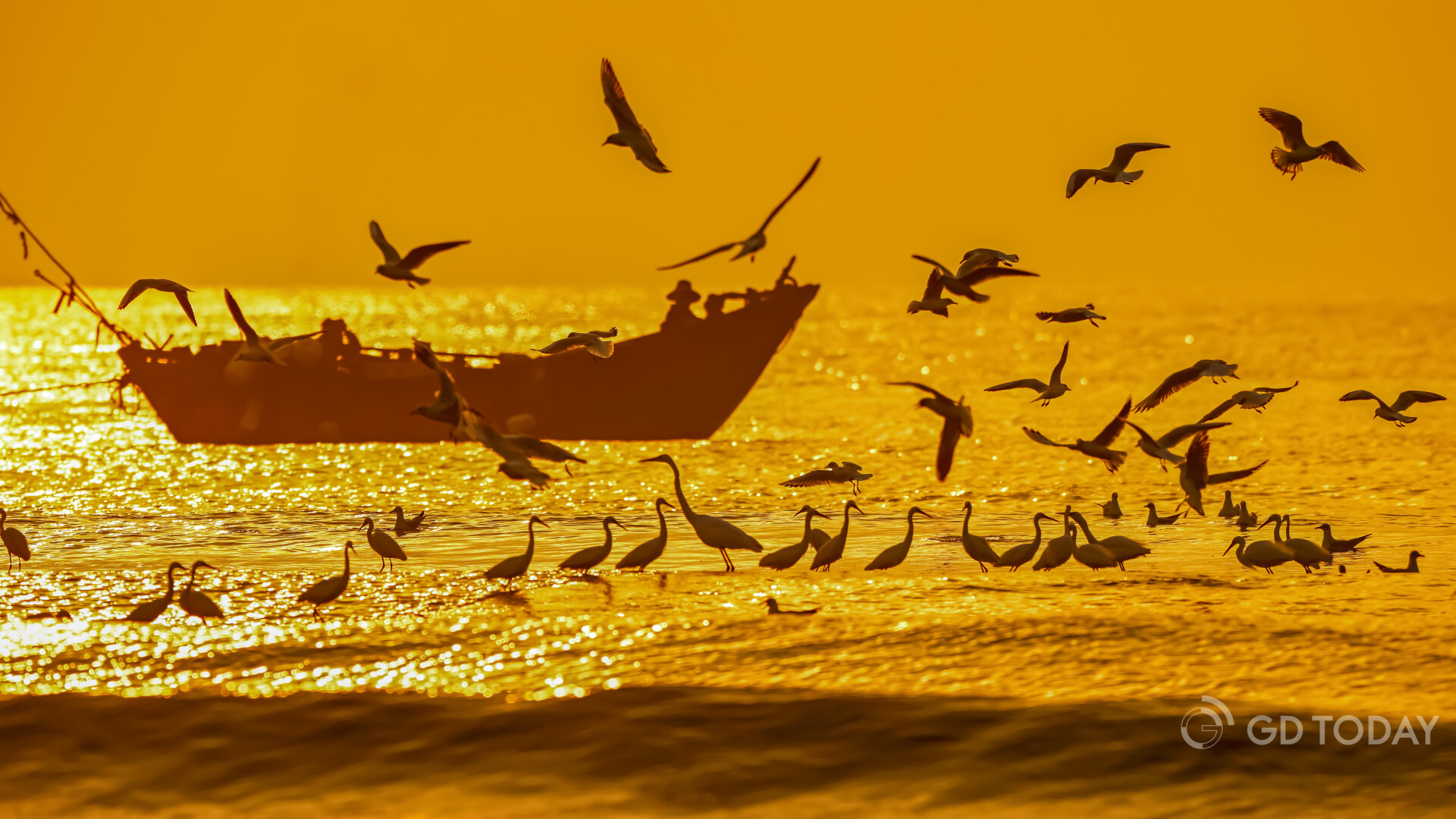 Photographed by Chen Ai.