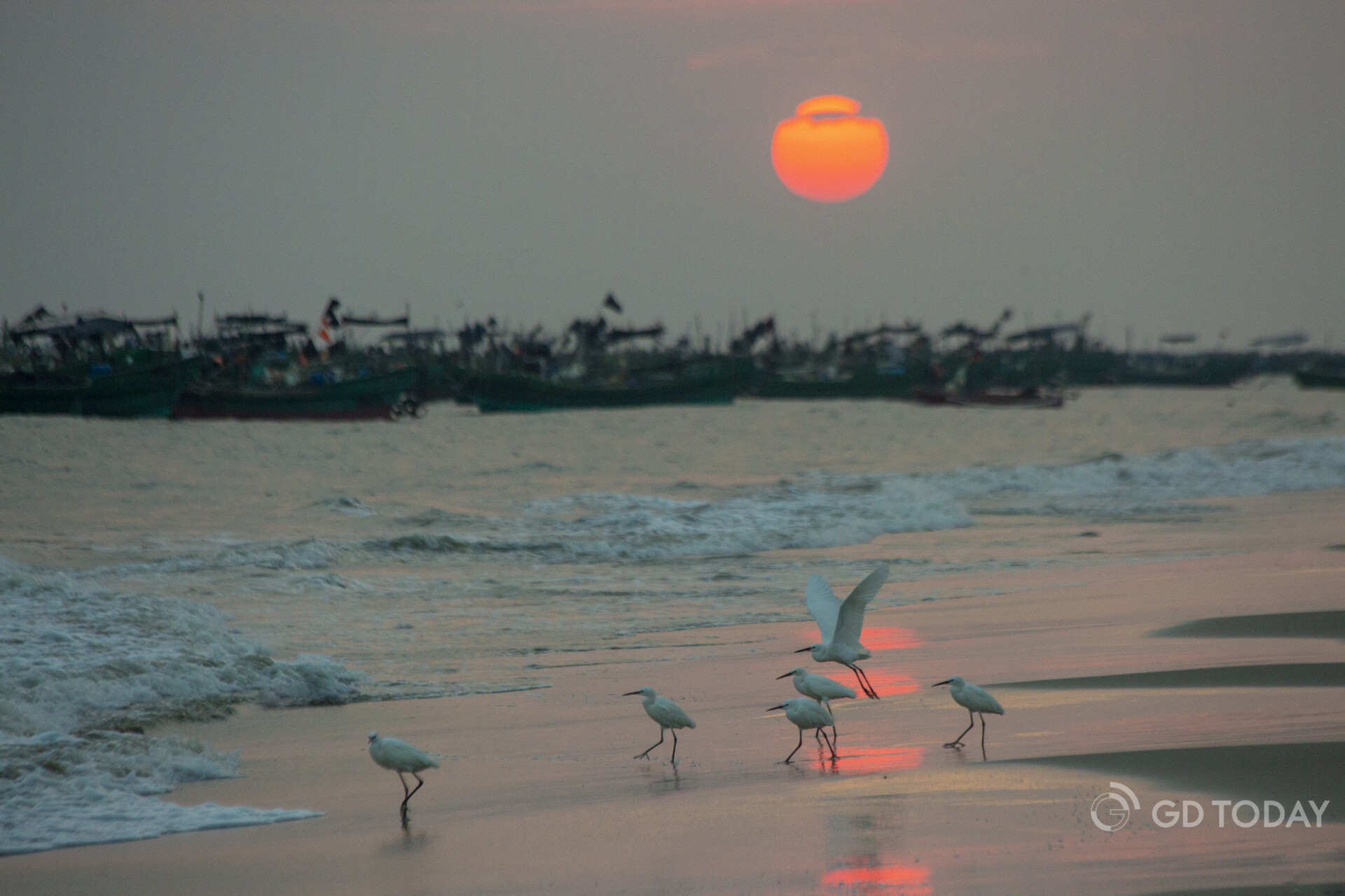 Photographed by Zhang Pengfei.