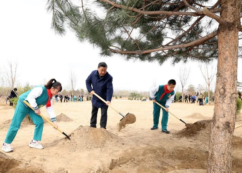 2022年3月30日，习近平总书记来到北京市大兴区黄村镇参加首都义务植树活动。