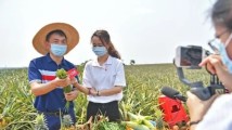 广东村播:不止产品,不止直播 广东村播:不止产品,不止直播