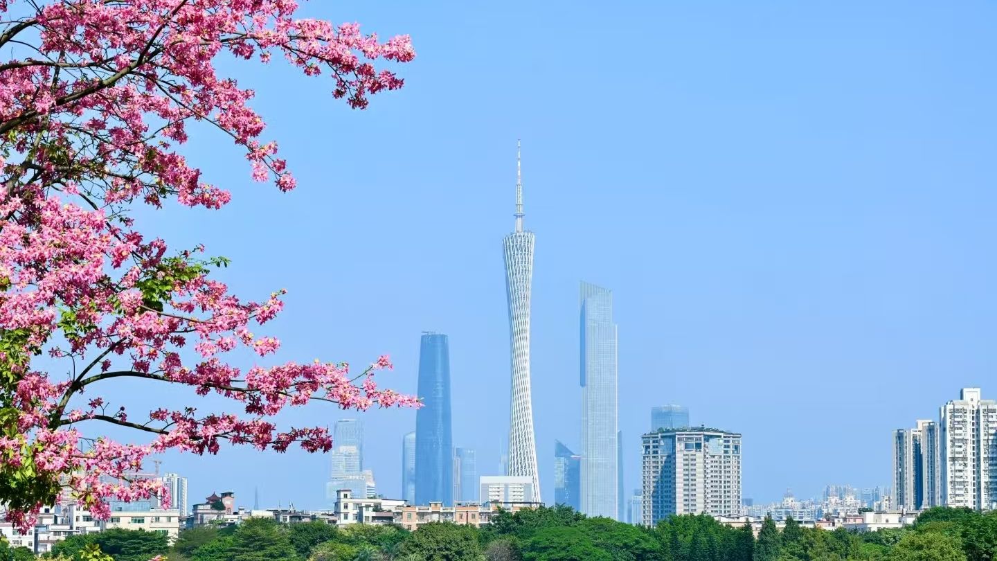 超大城市中心城区，这样做好新兴领域党建