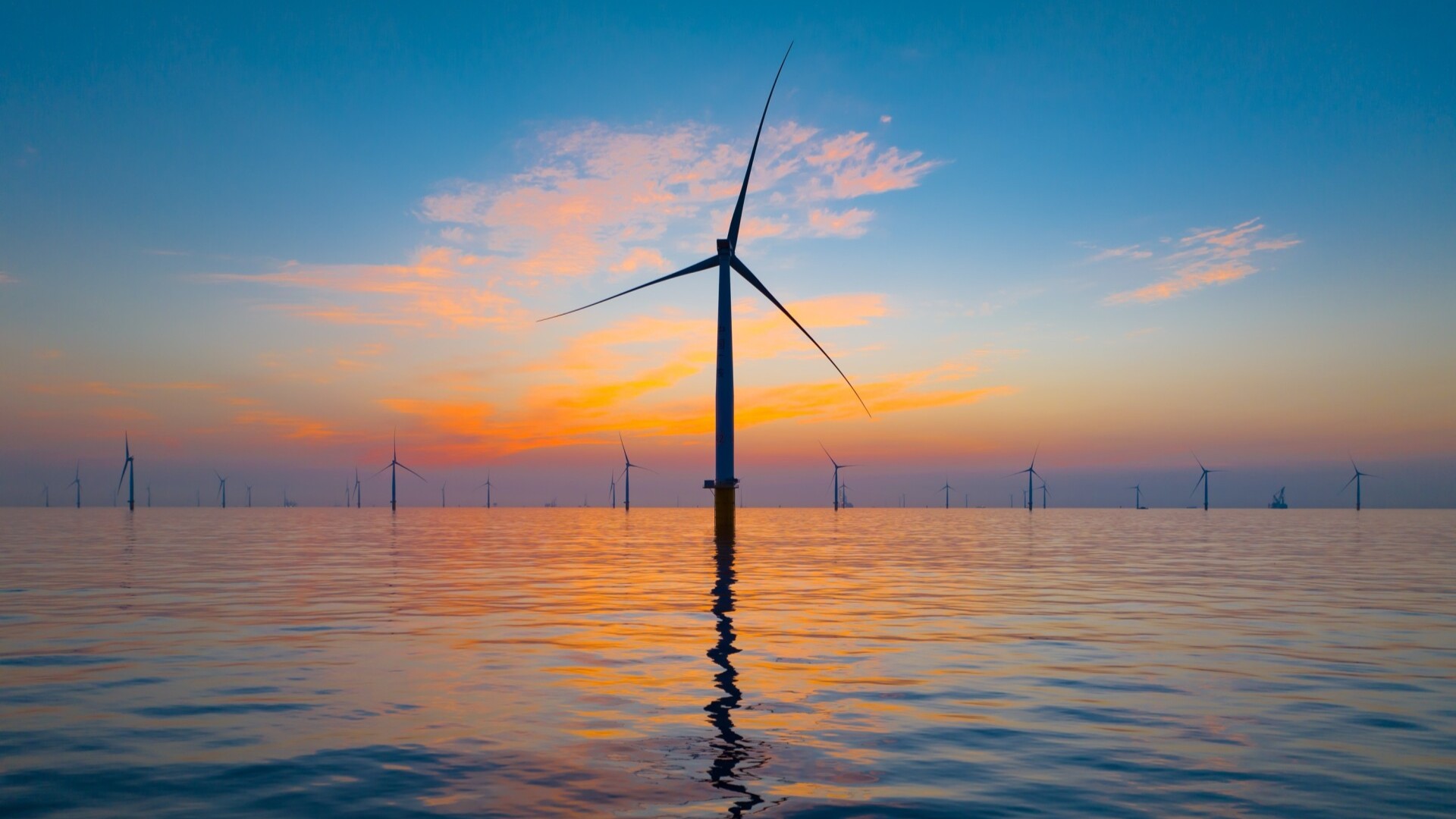 Shanwei reports strong growth and development during China's 14th Five-Year Plan