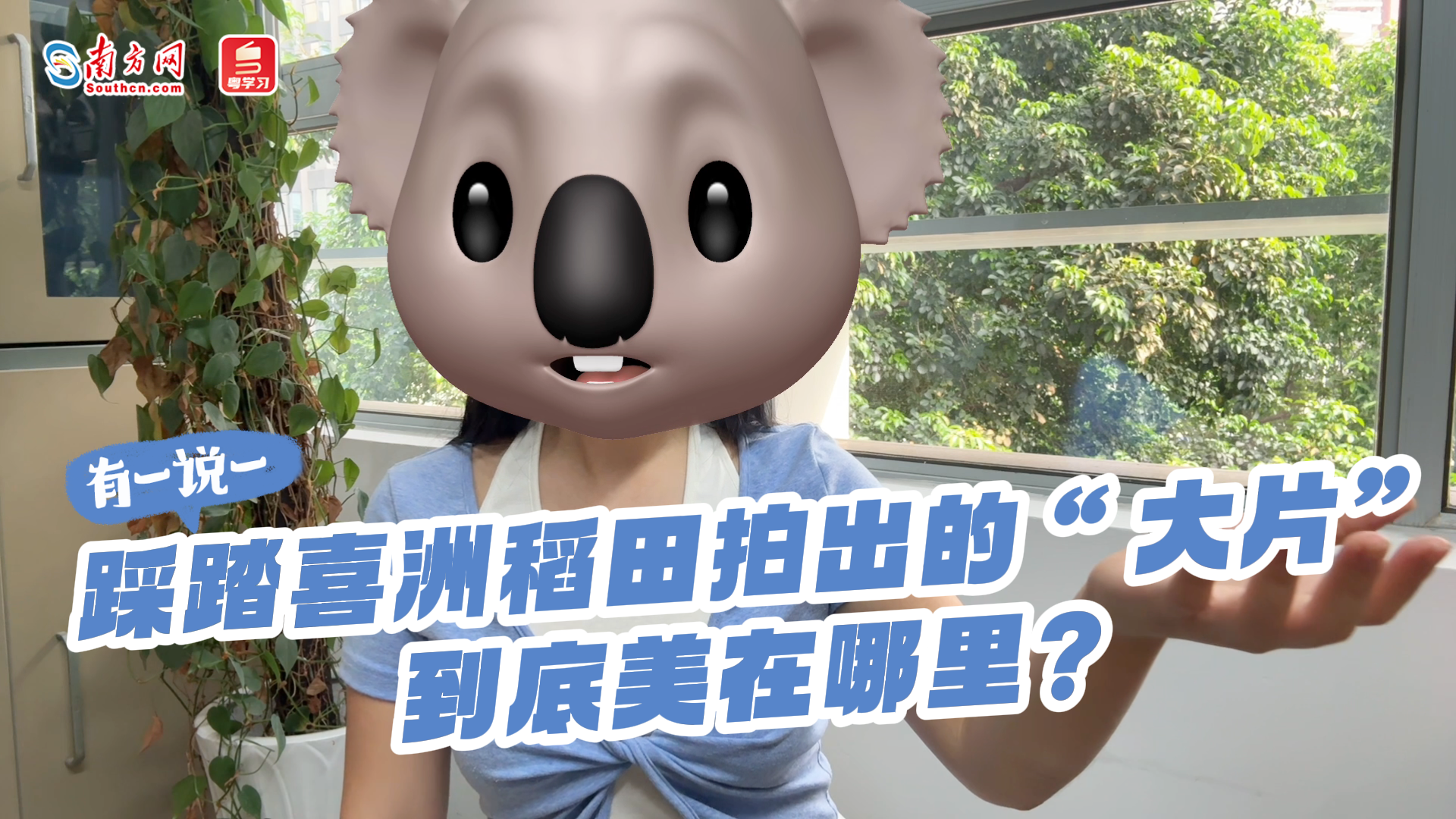 有一说一 | 踩踏稻田拍出的“大片”，到底美在哪里？
