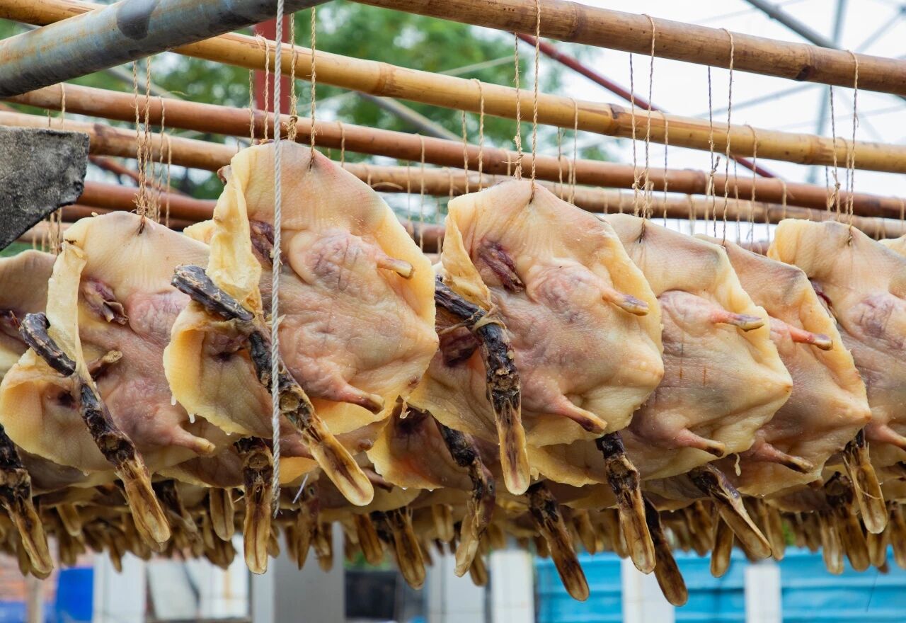 虎门白沙油鸭（摄影：王敬新）