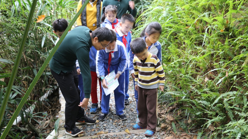 广东省自然教育基地增加到135家