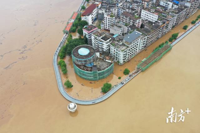 6月20日上午，肇庆封开江口街道江口咀附近已被洪水浸泡。肇庆 南方+ 卢逸轩 拍摄