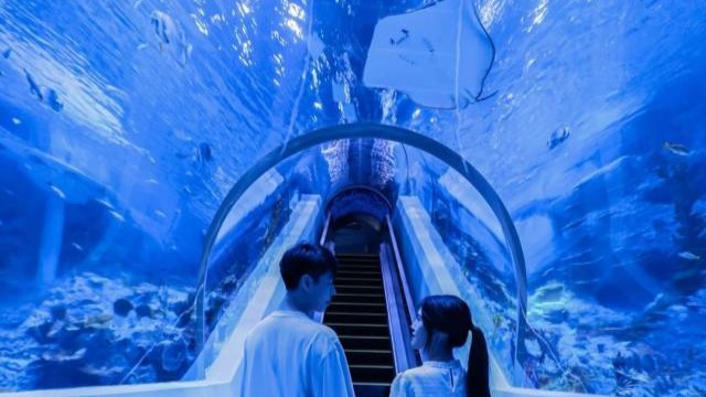 Guangzhou Ocean World to reopen with a fresh look on June 25