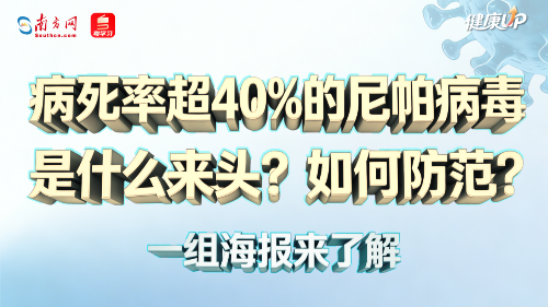 病死率超40%的尼帕病毒是什么来头？如何防范？一组海报来了解｜健康UP