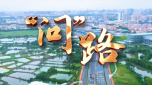 大湾区大未来 | 佛山禅西大道南延线:打通“断头路” 惠民促振兴 大湾区大未来 | 佛山禅西大道南延线:打通“断头路” 惠民促振兴
