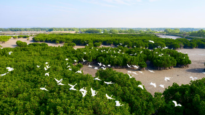 蓝海秘境，“茂名蓝”VS“湛江蓝”，你偏爱哪种海滨风情？