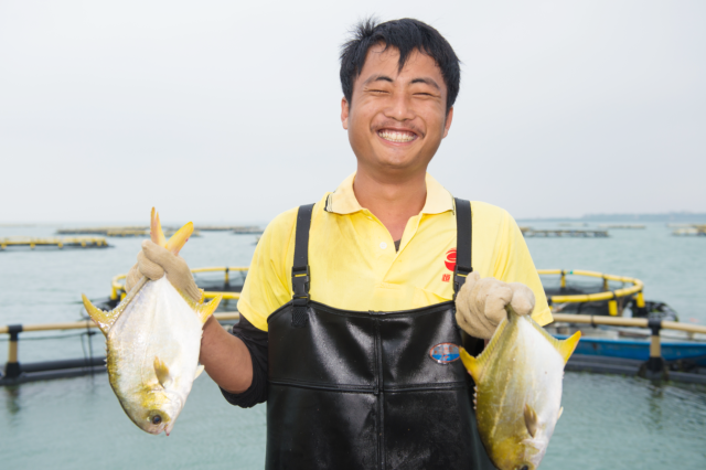 渔民喜收金鲳鱼。