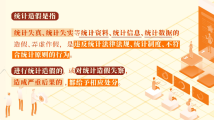 对统计造假的处分规定 对统计造假的处分规定