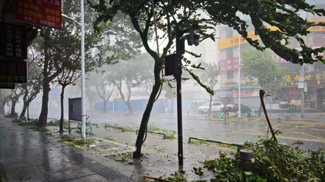 滚动｜“桦加沙”已进入湛江吴川境内，将穿过雷州半岛