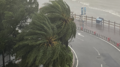 “麦德姆”逐渐靠近我国 揭秘十月台风为何偏爱登陆华南