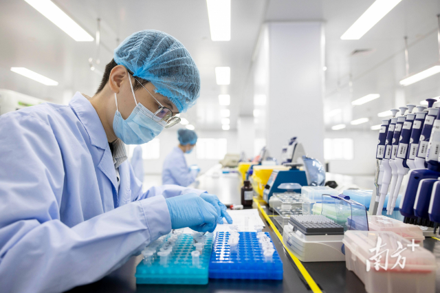 Guangdong's R&D investment rises 15.4% from Jan-Aug