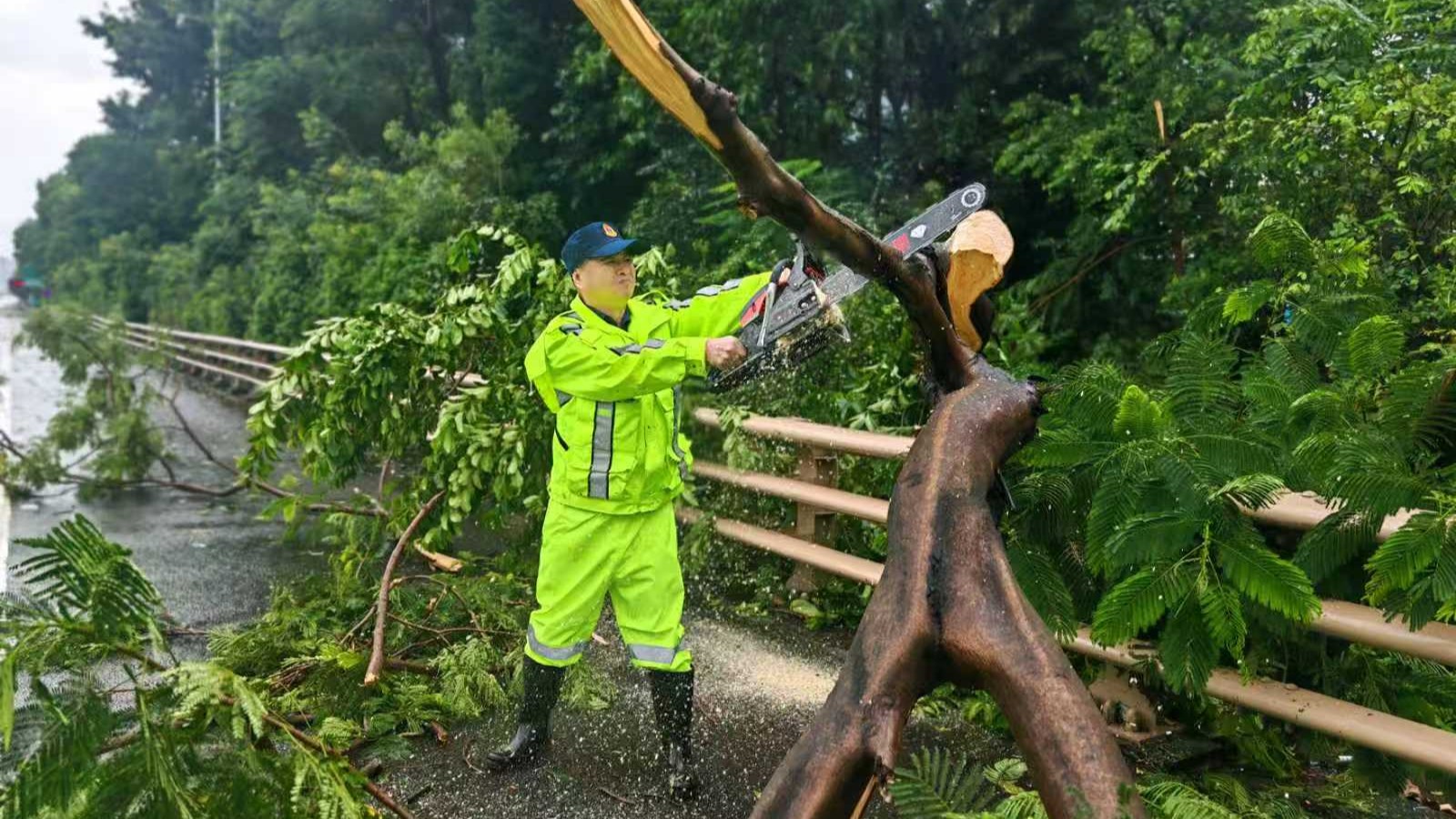 Traffic resumes on Shenzhen–Zhongshan Link and other typhoon-hit roads