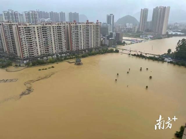 英德市区仙水湖水位快速上涨。（网友供图）