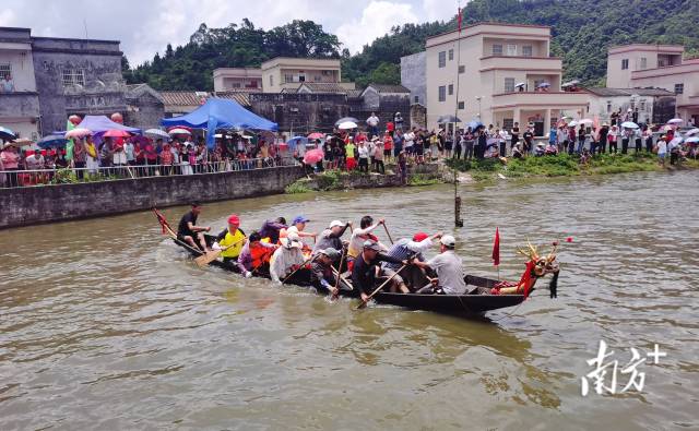 池塘里赛龙舟。 池塘里赛龙舟。