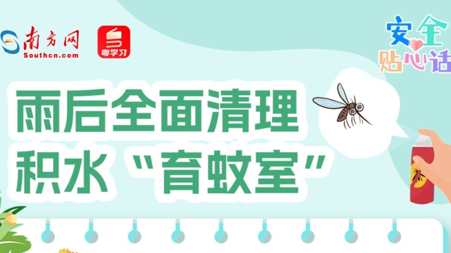 强降雨过后，如何防蚊灭蚊？｜安全贴心话