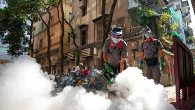 广州疾控提醒：这些区域有蚊媒传染病传播风险