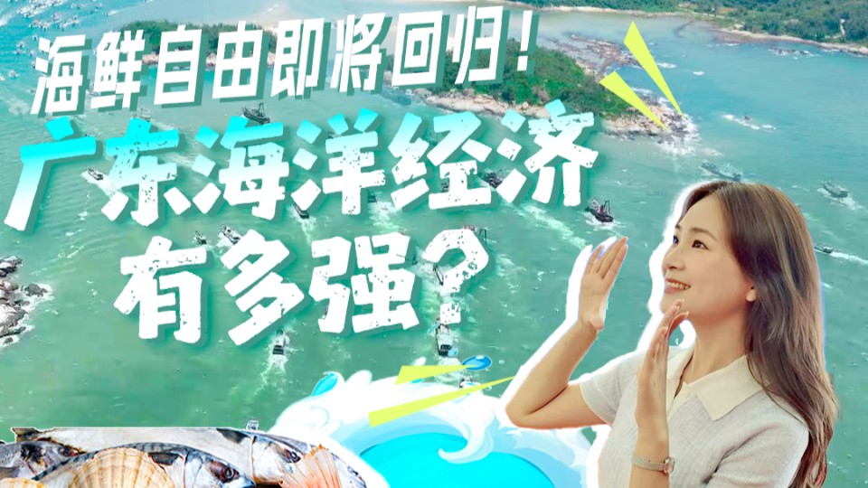 海鲜自由即将回归！广东海洋经济有多强？｜发布会看广东