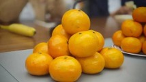 砂糖橘致癌、耙耙柑打了退酸剂?今年柑橘都不能吃了?真相如何? 砂糖橘致癌、耙耙柑打了退酸剂?今年柑橘都不能吃了?真相如何?