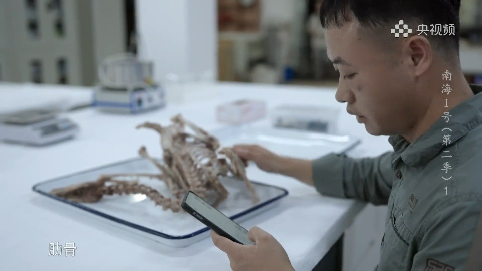 Chinese merchant shipwreck Nanhai No. 1: An unfinished voyage