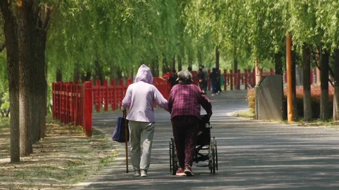 11.6亿元已下达：养老消费补贴，谁领了？