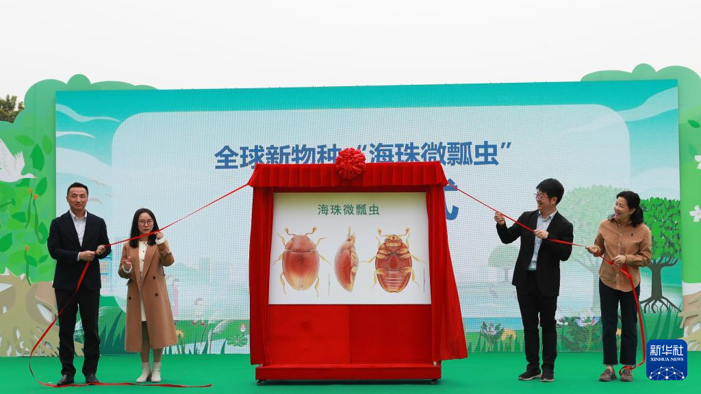 Le Guangdong lance la « Journée mondiale des zones humides » et organise une activité de sensibilisation à la conservation des mangroves