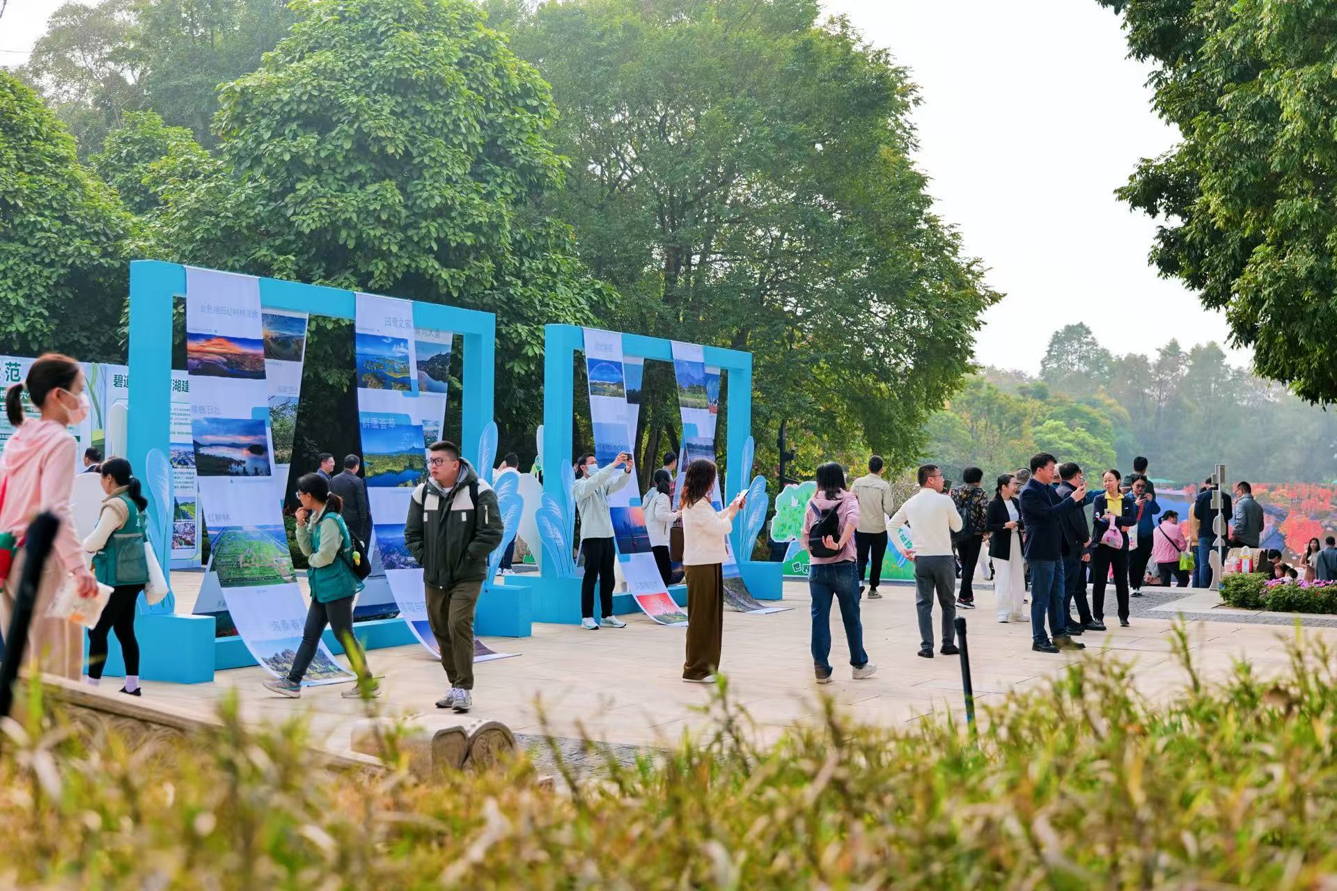 市民参观红树林保护宣传展（通讯员供图）