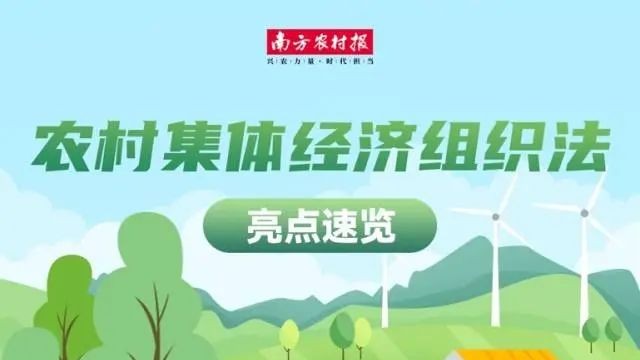 农村集体经济组织法5月1日起施行！成员身份如何认定？妇女权益如何保障？公务员身份有何影响？