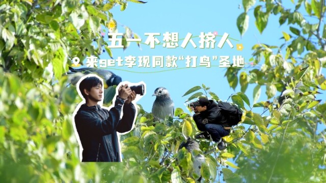 “五一”不想人挤人，来get李现同款“打鸟”圣地