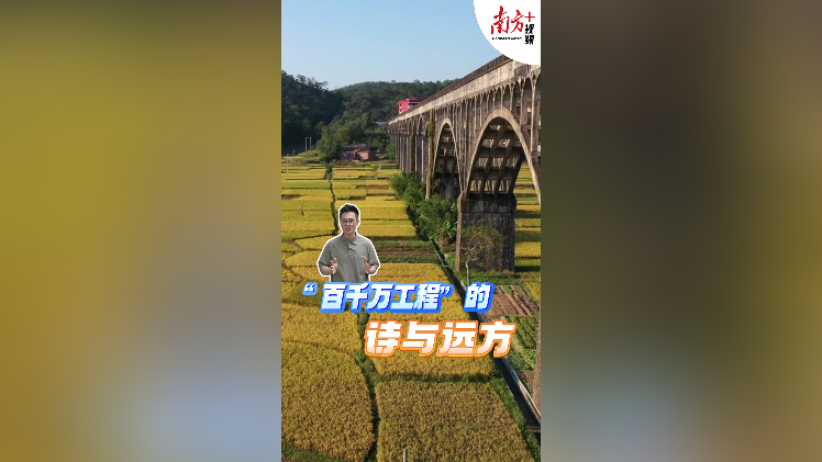从广东这场“永不落幕”的乡村文化盛荟，看到县镇村的“诗与远方”