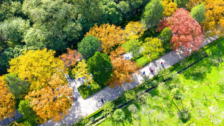 Stunning autumn scenery across China