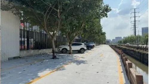 代表联络站的故事 | 上学路大变样！代表推动校门口“糟心荒地”焕新