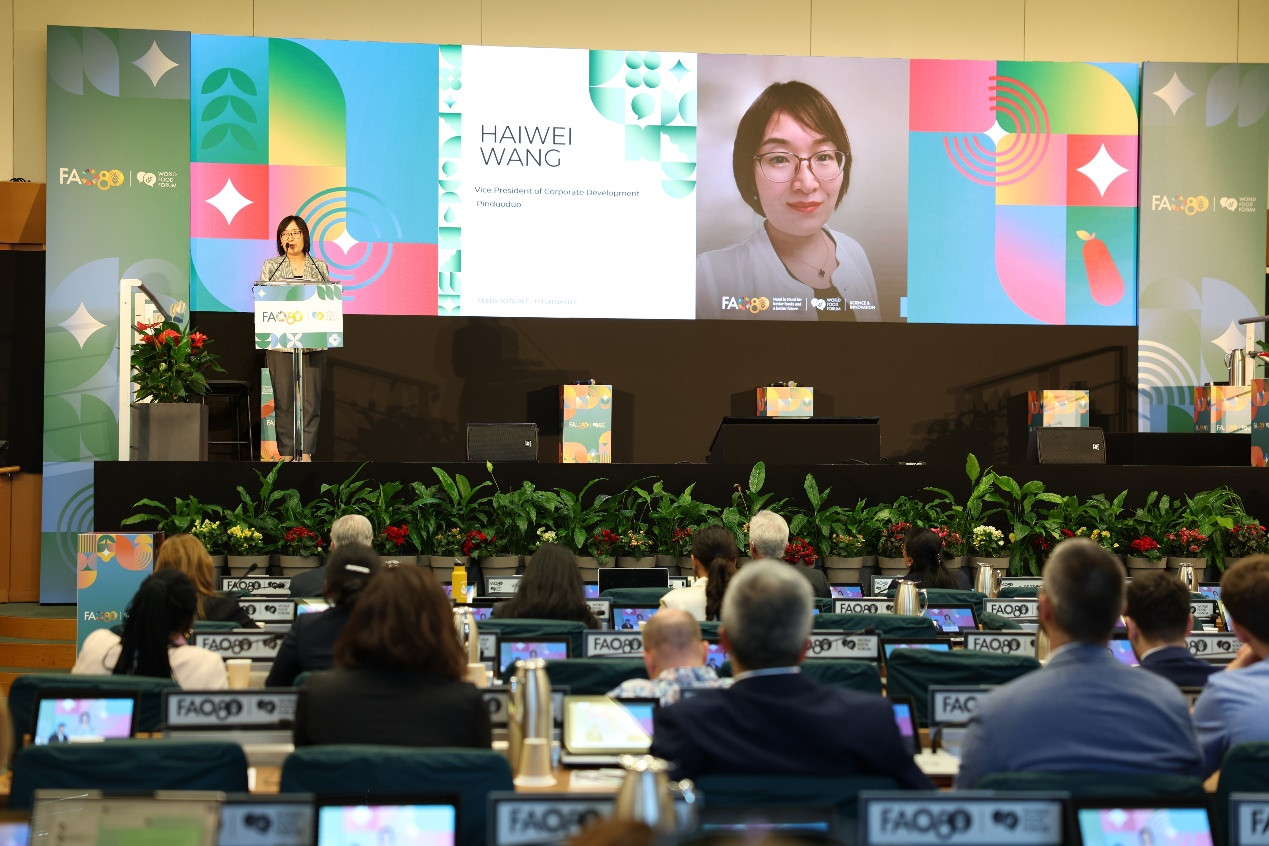 拼多多企业发展副总裁王海薇在科学与创新论坛发表主题演讲 摄影 张锐