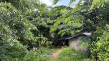 44岁农妇“被强奸”未获立案自杀 当地已受理立案侦查 44岁农妇“被强奸”未获立案自杀 当地已受理立案侦查