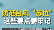 防范台风“苏拉”,这些要点要牢记! 防范台风“苏拉”,这些要点要牢记!