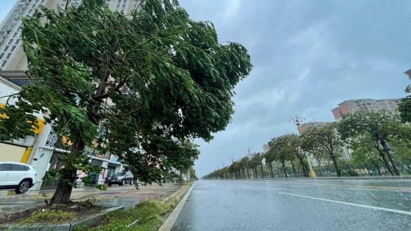 狂风大作、吹翻雨伞！汕尾市城区、红海湾发布台风红色预警信号