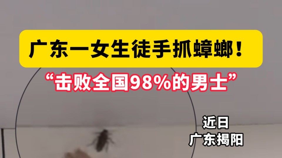 广东一女生徒手抓蟑螂！ 网友：击败全国98%的男士