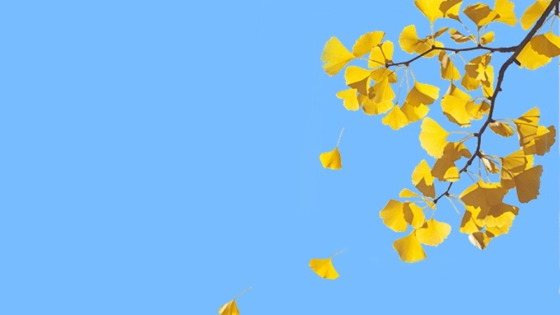 天气转凉，如何增强身体抵抗力？“秋冻”是否有依据？