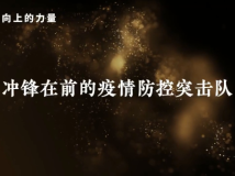 我的抗疫故事 | 疫情之下的众诚1019小时 我的抗疫故事 | 疫情之下的众诚1019小时