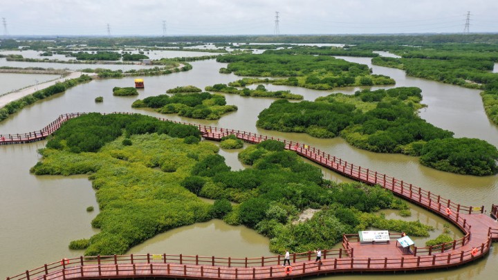 领悟首个“全国生态日”的意义