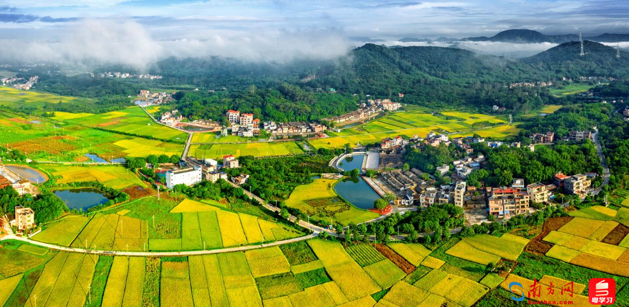 正果镇岳村村