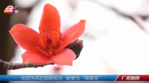 百人齐种“英雄树” 长洲岛史迹“活”起来 百人齐种“英雄树” 长洲岛史迹“活”起来