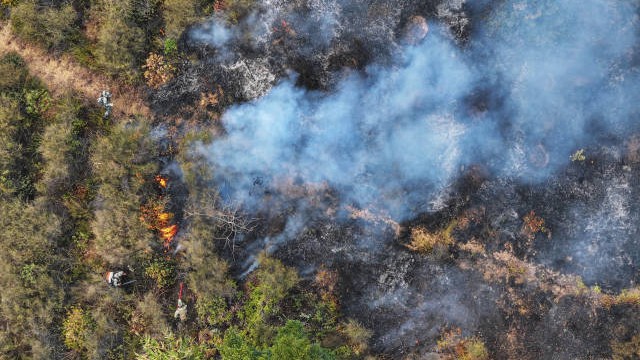 Qingyuan forest fire extinguished, no casualties reported